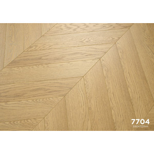 Gaudi 7704 Мадрид